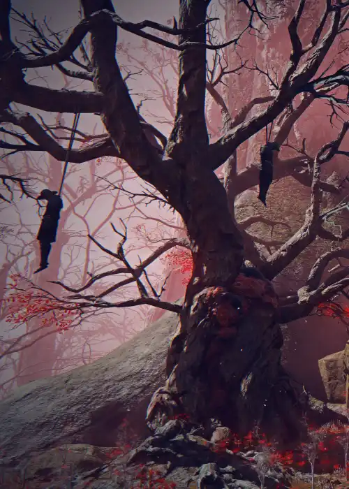 Rotted Woods